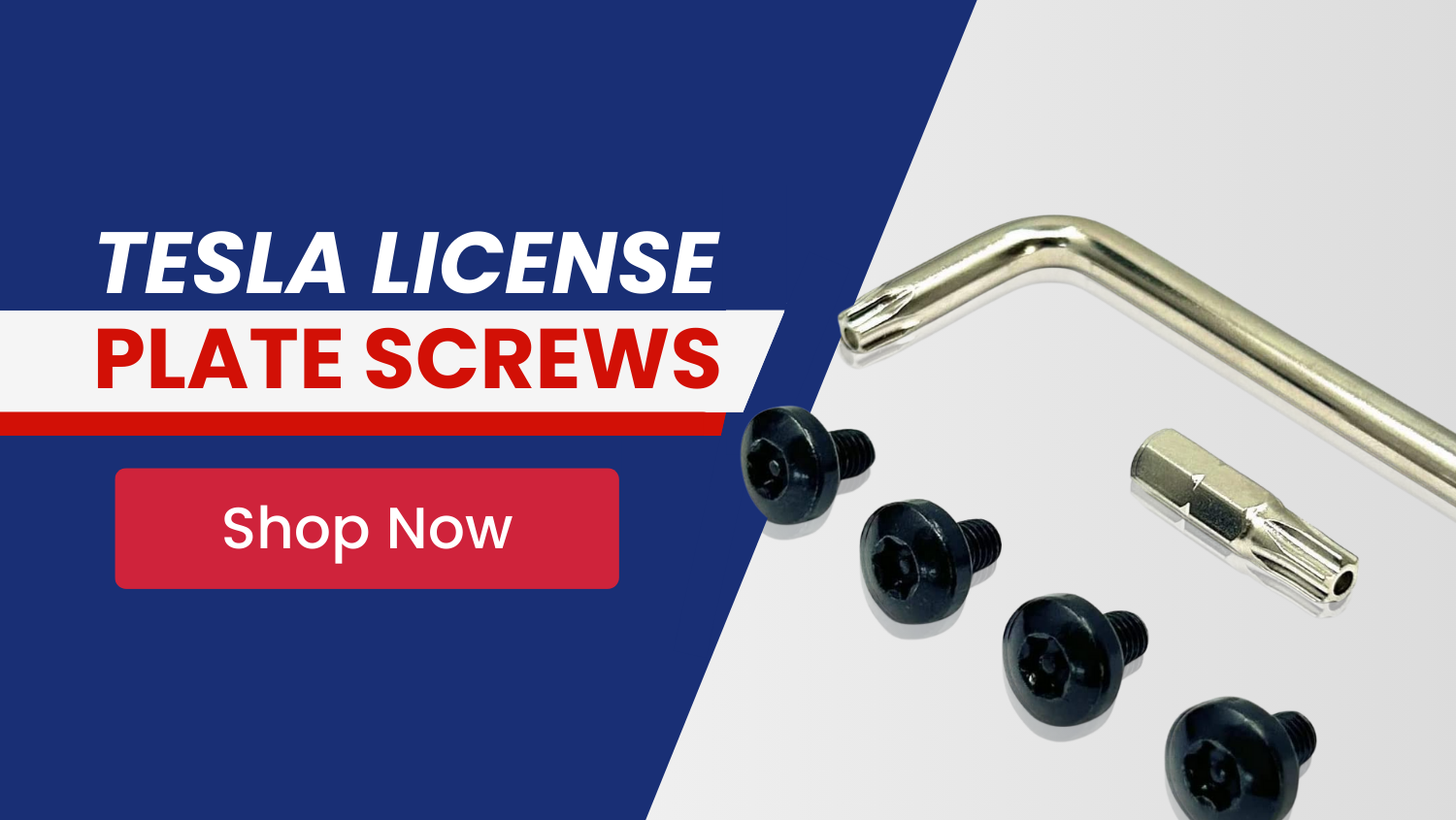 Tesla license plate screws with anti-theft security hardware